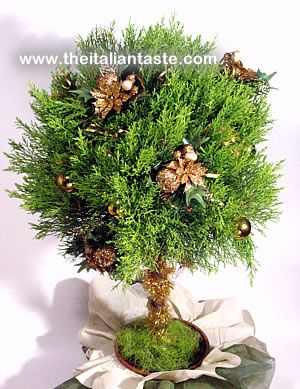 Fresh trimmed pine as Christmas tree, Italy-style. The photo shows a little pine decorated with Christmas ornaments 