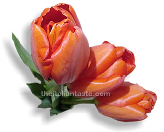 biglietto da scaricare gratis per compleanno con tulipani