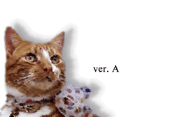 modello di bigliettino di invito (con rosa) per occasioni, anniversari e festeggiamenti