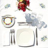 tavola apparecchiata per pranzo (colazione)