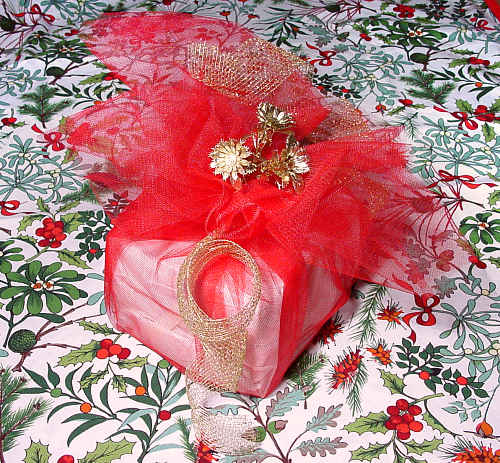 a plittle parcel packed up with red tulle