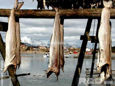 Stockfish with potatoes