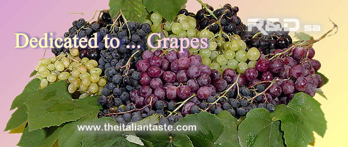 Dedicate to ... grapes