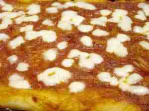 Italian pizza topped with onion and tomato sauce