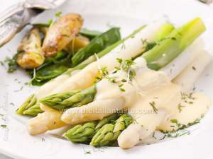 Asparagus with Hollandaise sauce