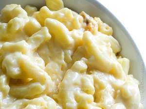 Italian pasta tossed with four cheese sauce, the image shows a detail of these creamy macaroni