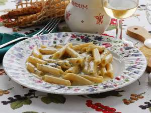 Penne (Italian pasta) with creamy gorgonzola sauce or pasta tossed with white cream