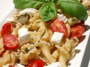 Pasta salad with Buffalo Mozzarella. The photo shows a detail of pasta salad in the platter with pieces of Mozzarella, mushrooms and artichokes in oil and cherry tomatoes