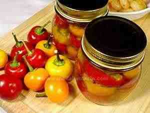 hot cherry peppers stuffed with tuna capers and anchovies in jars