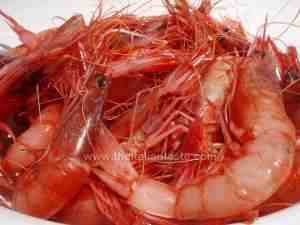 raw prawns caught in Mediterranean sea near Salento (Apulia)